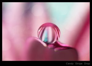 c74-Candy Stripe Drop.jpg